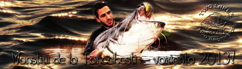 catfish pe tancabesti - 4821863757801758690591623906252n.jpg